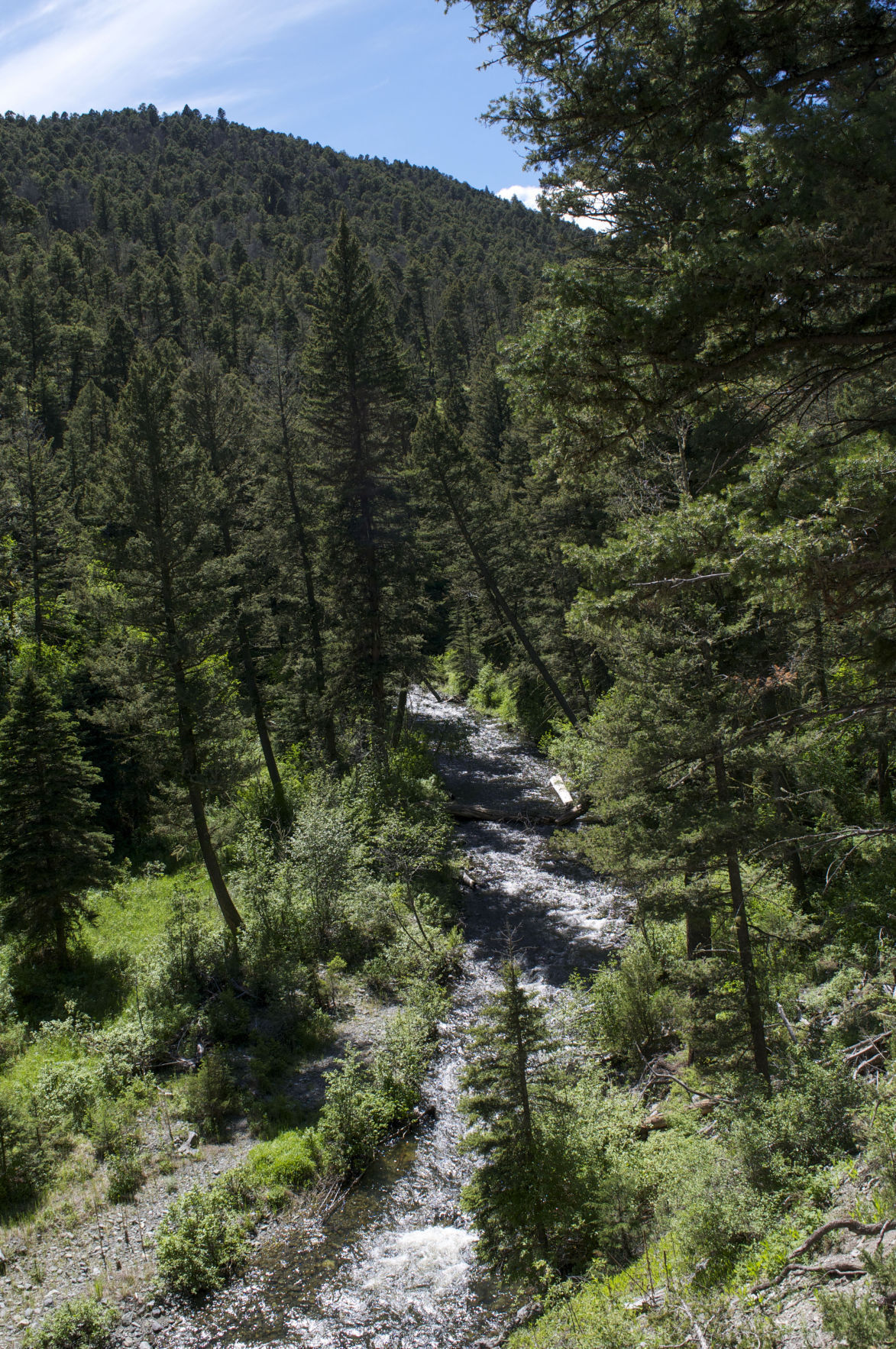 The creek